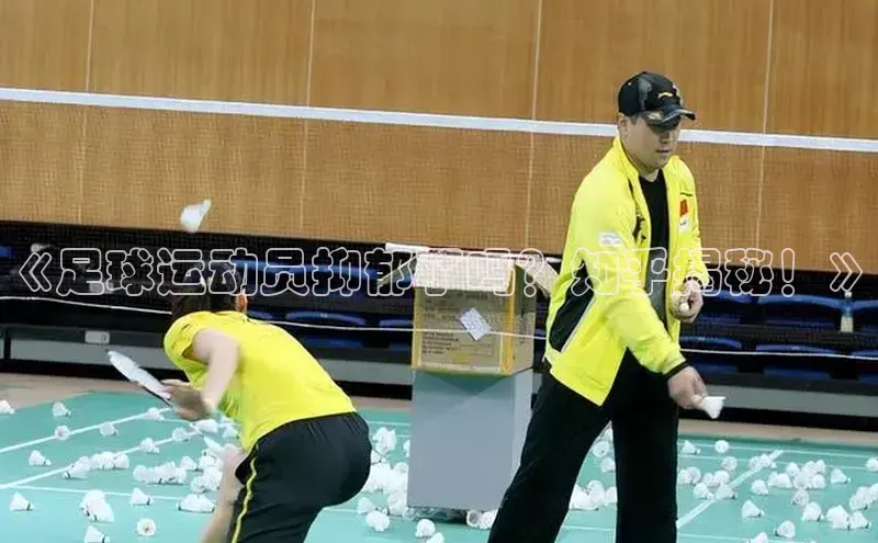 球盟会登录入口网页版中文在线