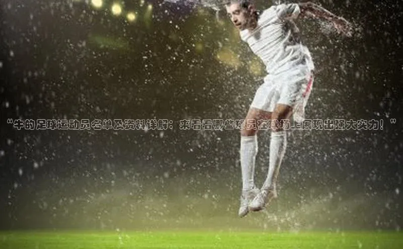 球盟会官方app首页入口华扬联众