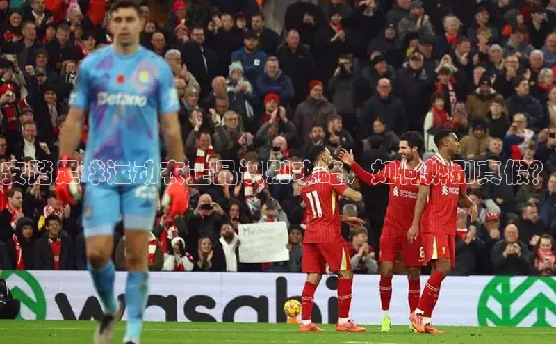 球盟会官方app首页入口华扬联众