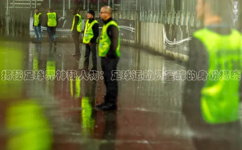 qmh球盟会轻美电器