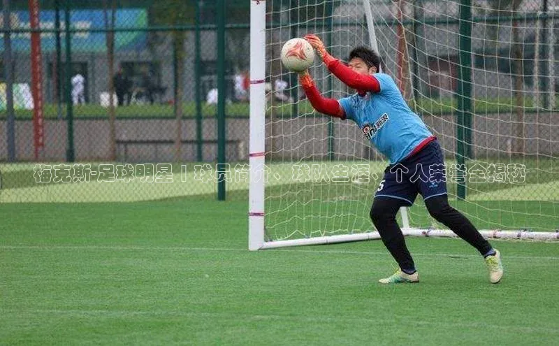 球盟会手机网页版百度手机卫士