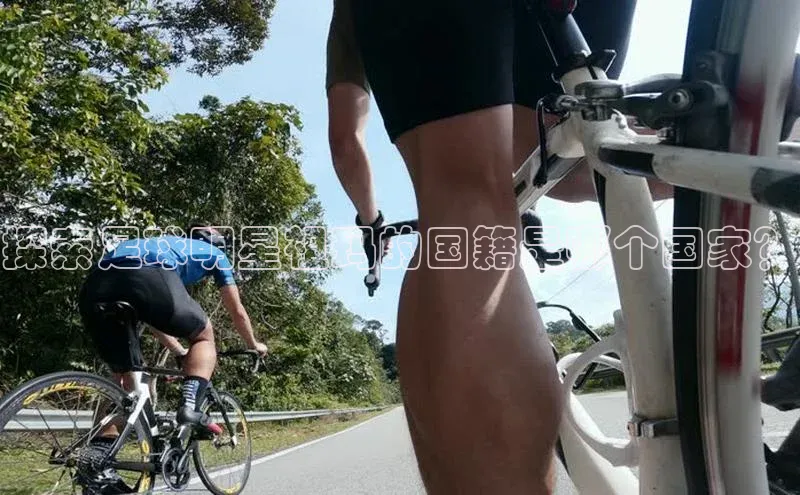 球盟会app入口百度教育