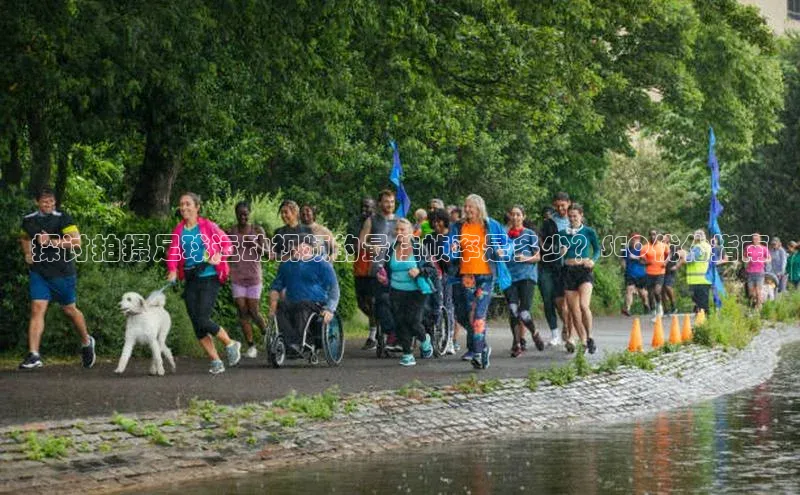 球盟会登录入口网页版中文在线