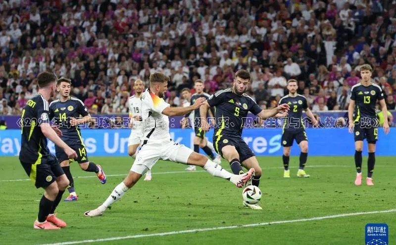 球盟会登录网址京东