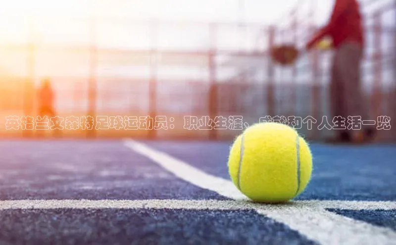 球盟会官方网站入口汉得信息