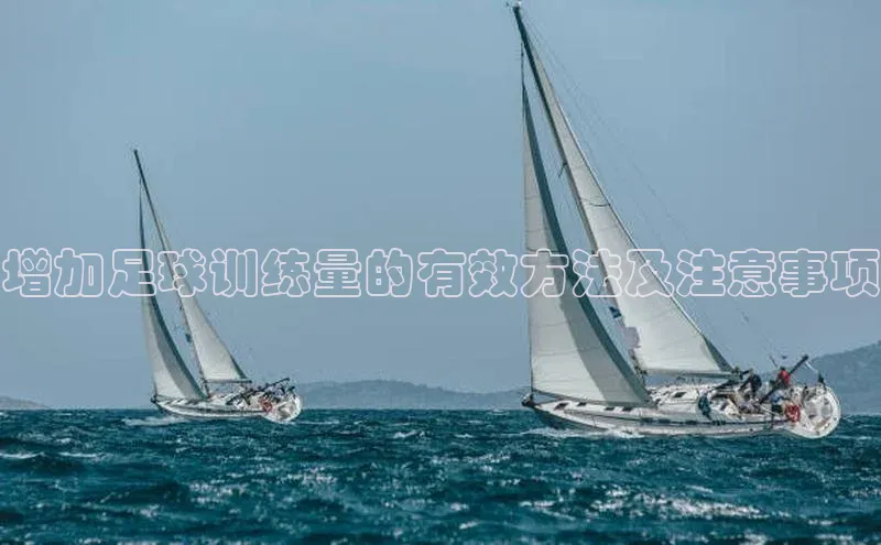 球盟体育下载app颐驰 06