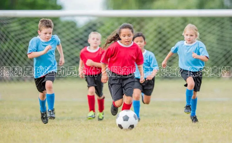 球盟会在线官网百度技术学院