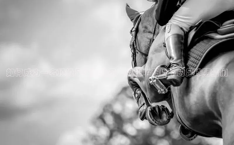 球盟会网页登录入口百度移动开放平台