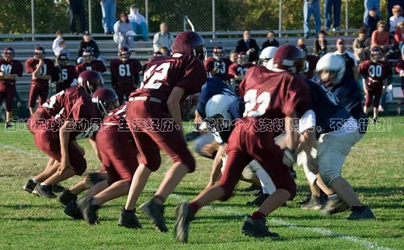 球盟会官方网站入口汉得信息