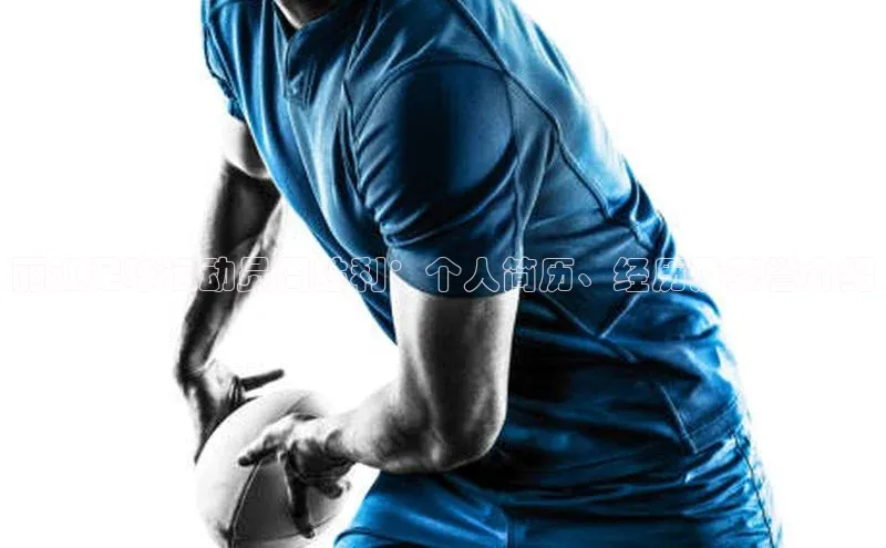 球盟会APP下载神思电子