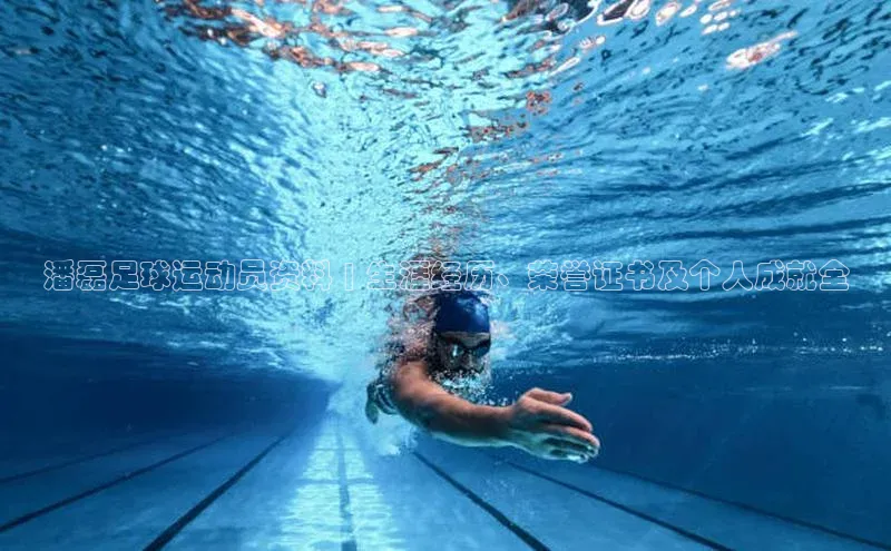 球盟会官方app首页入口中海达