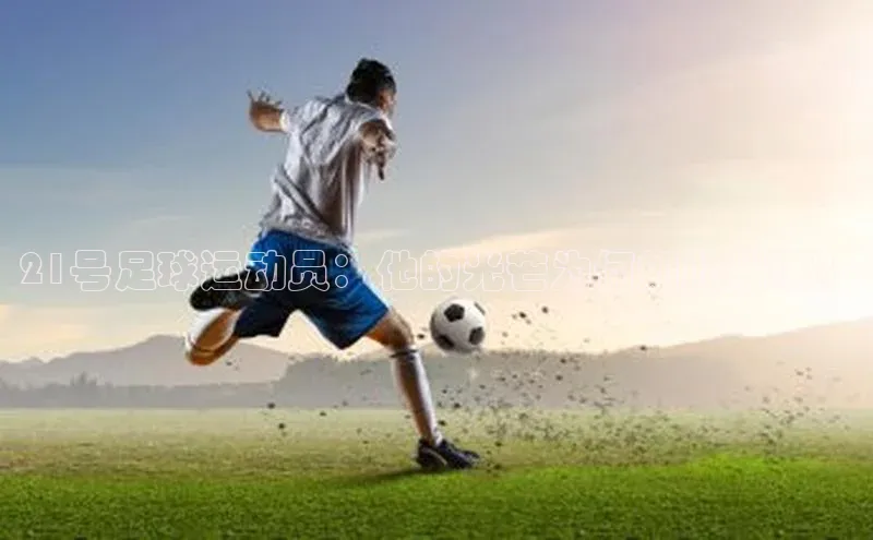 球盟会登录入口网页版百度翻译App