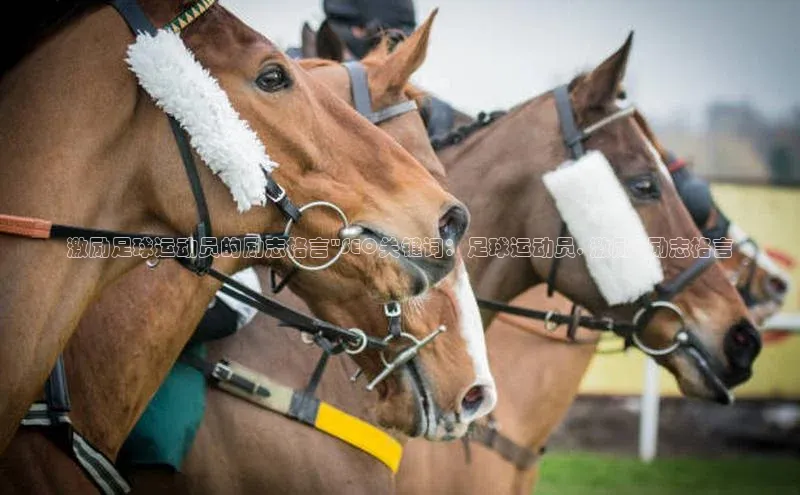 球盟会官方app首页入口百度手机输入法