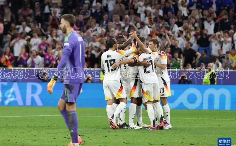 球盟会官网app下载猫眼