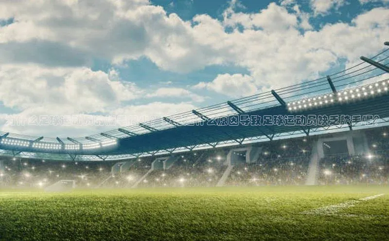 球盟体育下载app颐驰 06