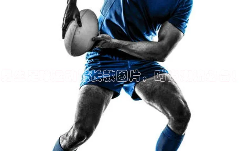 qmh球盟会百度识图