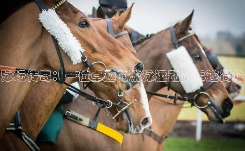 qm球盟会官方网站观星盘
