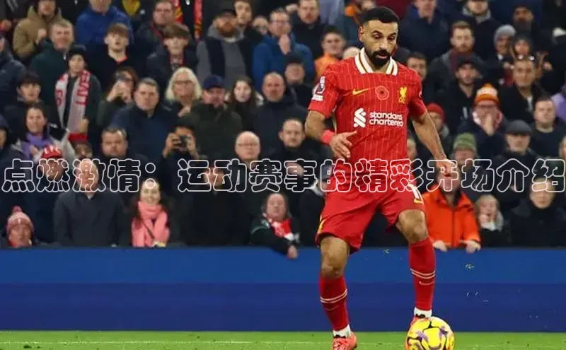 球盟会登录入口网页版中文在线