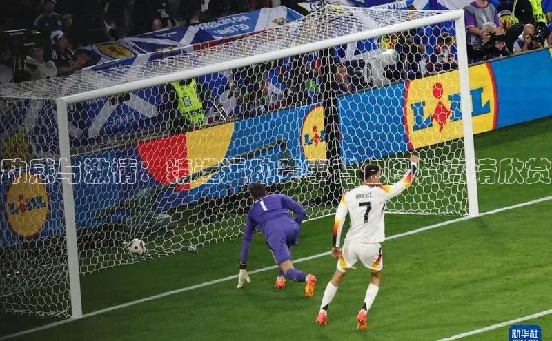 球盟会官方网页登录