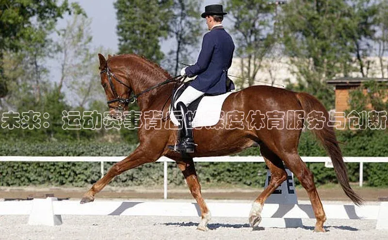 球盟会手机网页版