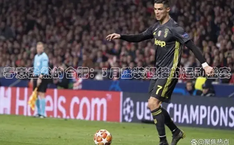 球盟会平台官网