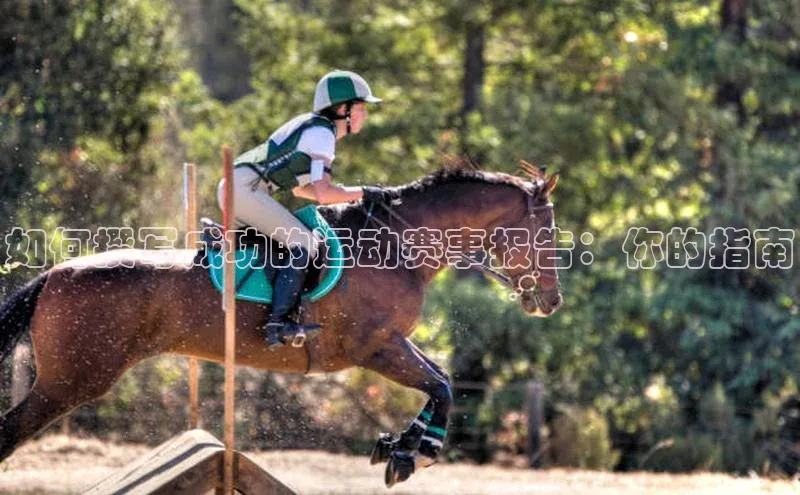 球盟会官网入口下载