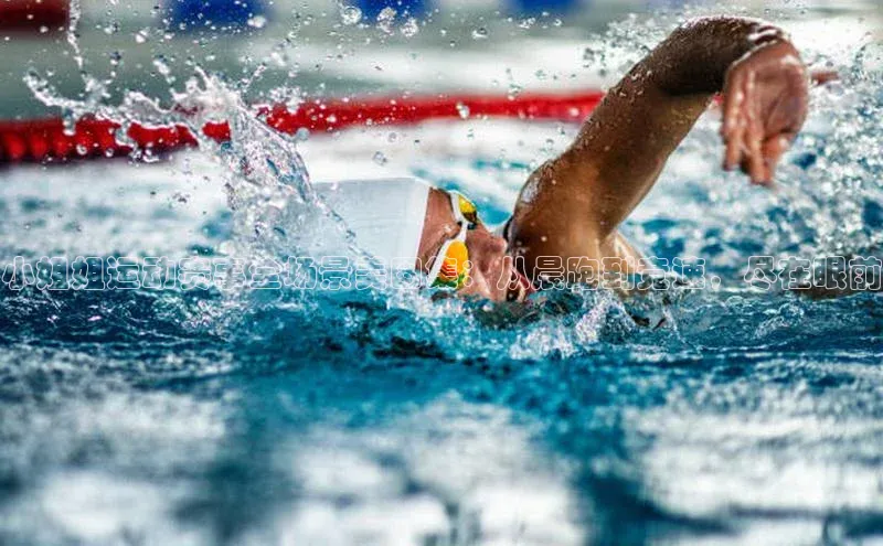 球盟会官网入口下载